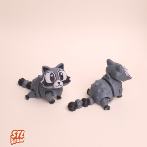 Rooki – the sneaky little raccoon🦝