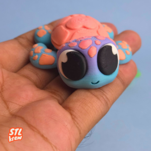 Shelly The Sea Turtle🐢