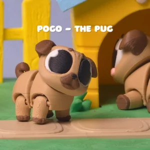 Pogo the pug